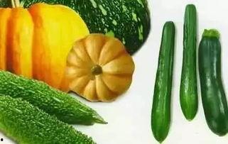 春山记吃瓜,一场别开生面的吃瓜盛宴