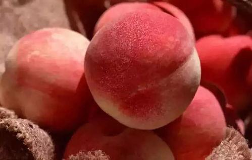 甜桃吃瓜小说,甜桃与瓜子的浪漫邂逅  第2张