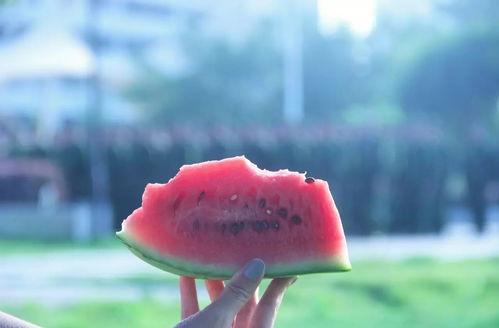 清静吃瓜,品味宁静中的生活乐趣  第3张