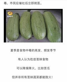 吃瓜不能停印度  第2张