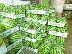 武汉吃瓜视频,揭秘街头美食背后的故事  第2张