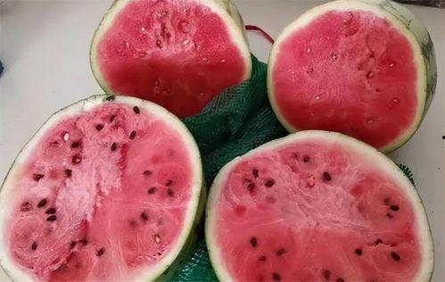 阳性吃麒麟瓜,神奇疗效引关注  第2张