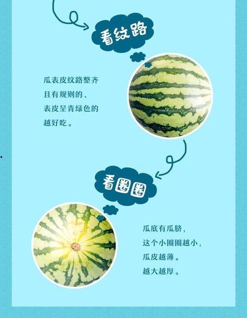 走心吃瓜,那些走心吃瓜背后的故事  第3张