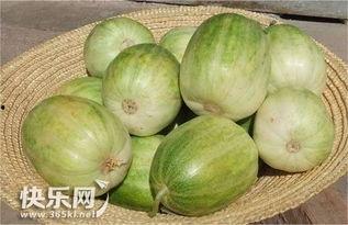 哇哈哈直播间吃瓜,一场别开生面的吃瓜盛宴  第2张