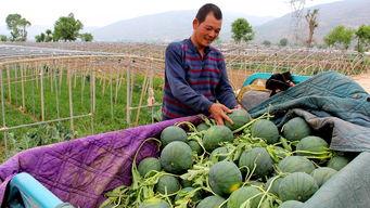 吃瓜群众漳州,吃瓜群众眼中的魅力之城  第3张