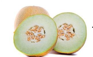 牛蛙吃哈密瓜好吗怎么吃,独特搭配的美食探索  第2张