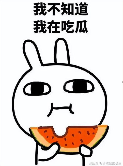 吃瓜二狗子是谁  第3张