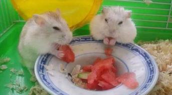 爆料卧槽吃瓜,揭秘娱乐圈最新爆料背后的真相  第3张