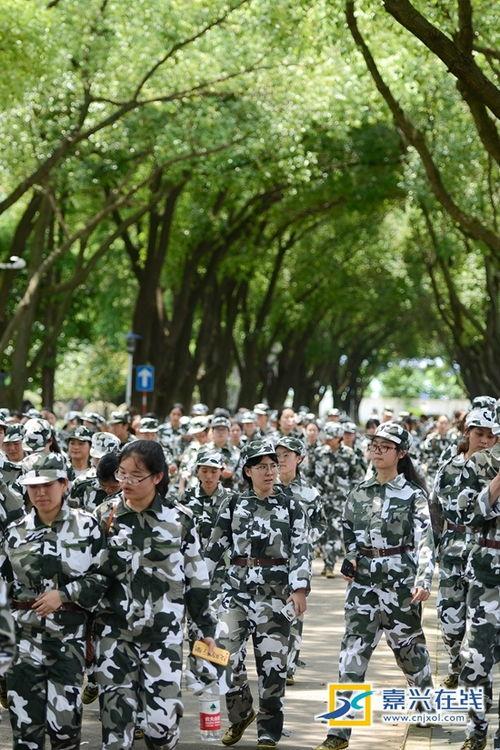 吃瓜情报军  第2张