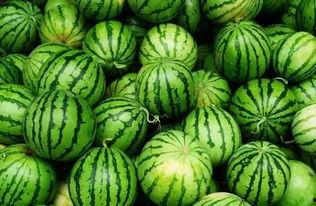 最全吃瓜群,娱乐圈幕后风云尽收眼底  第2张