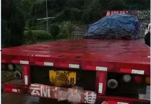 吃瓜撞车交警,交警现场调解，事件背后引热议