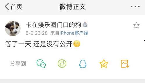 吃瓜爆料员,吃瓜爆料员带你探秘明星幕后故事  第3张