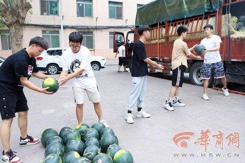 校园吃瓜大学,吃瓜大学生的趣味生活  第3张