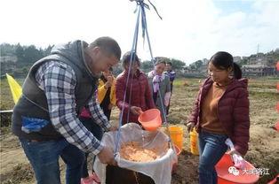 临山吃瓜事件,一场引发社会热议的“瓜农维权”风波  第2张