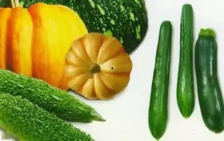 1022301吃瓜群,揭秘网络社交圈的趣味与争议  第2张