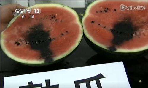 网上实时吃瓜视频,揭秘网络热门视频背后的故事  第3张