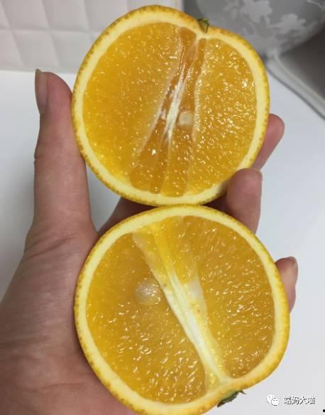 橙子讲故事吃瓜,吃瓜群众的趣味故事集  第3张