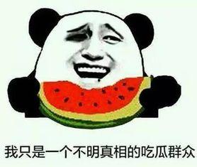 吃瓜免费事件,揭秘网络狂欢背后的真相  第2张