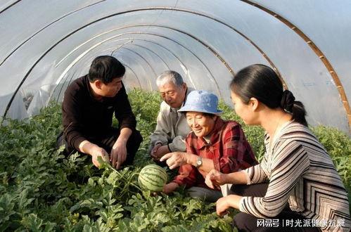 吃瓜奶奶安  第3张