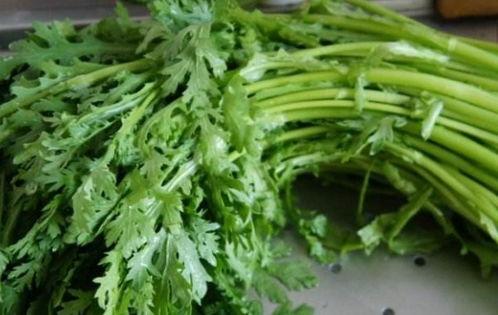 怀孕初期可以吃蒿瓜吗,蒿瓜的适宜食用指南  第3张