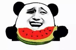 吃瓜群众阿娟,揭秘娱乐圈那些事儿  第2张