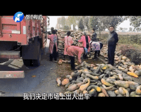 吃瓜群众大哥大姐,揭秘娱乐圈幕后故事  第3张