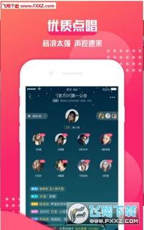 语音吃瓜系统全集,揭秘娱乐圈幕后真相与笑料