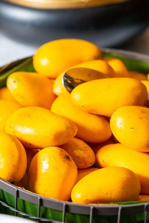 宁明维也纳吃瓜,一场别开生面的“吃瓜”盛宴  第3张