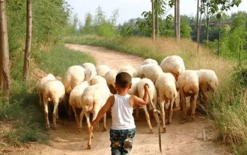 内蒙主播吃瓜  第2张