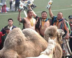 呼市蒙族吃瓜,蒙族风情下的夏日吃瓜盛宴  第3张