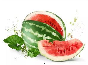 吃瓜的莫莫  第2张