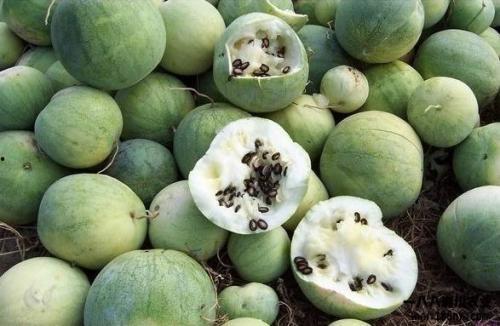 汉朝吃瓜,宫廷八卦，瓜田李下话权谋