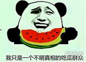 吃瓜表情意思,揭秘娱乐圈幕后真相  第3张