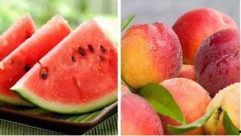 桃瓜吃瓜驿站,揭秘瓜界新潮流的聚集地  第2张