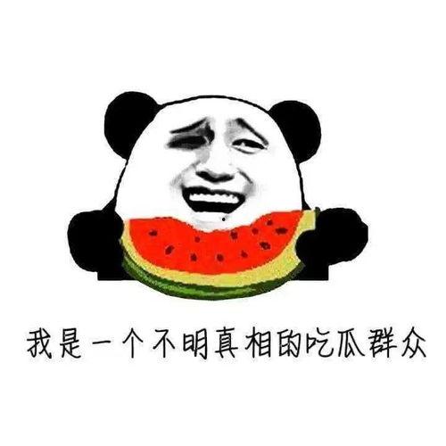 你像个吃瓜群众  第1张