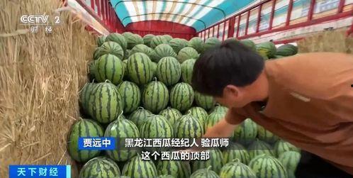 于适吃瓜现场,揭秘娱乐圈幕后真相  第2张