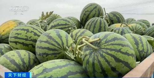 于适吃瓜现场,揭秘娱乐圈幕后真相  第3张