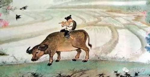 牧童骑黄牛吃瓜  第1张