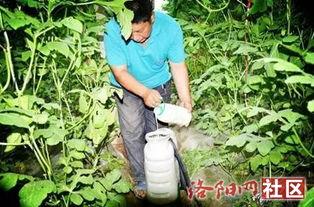 五一假期情侣吃瓜,甜蜜瞬间记录甜蜜生活  第2张