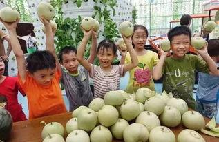 2015年吃瓜群众,吃瓜群众的狂欢岁月  第3张