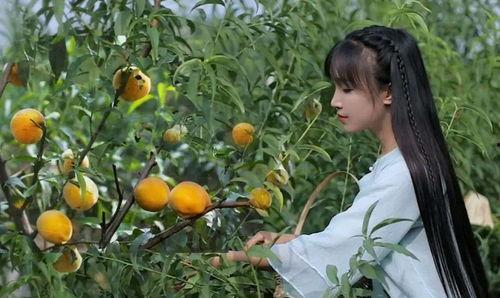 李子柒吃哈密瓜,穿越田园，品味西域甜蜜