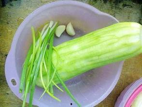 水瓜怎样吃最好,解锁最佳食用之道  第2张