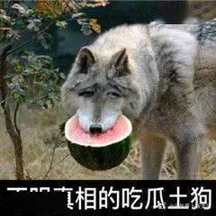 在吃瓜的群友们  第2张