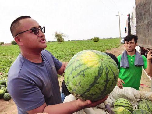 恒昌吃瓜  第3张