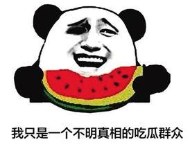 吃瓜群众网络大瓜,吃瓜群众的热议焦点  第2张