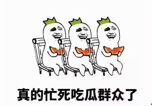 吃瓜群众网络大瓜,吃瓜群众的热议焦点  第3张