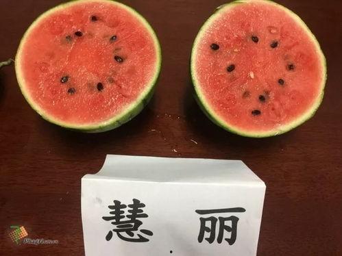 新的吃瓜视频  第3张