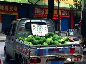 邵阳吃瓜信息,吃瓜群众揭秘当地特色小吃  第3张